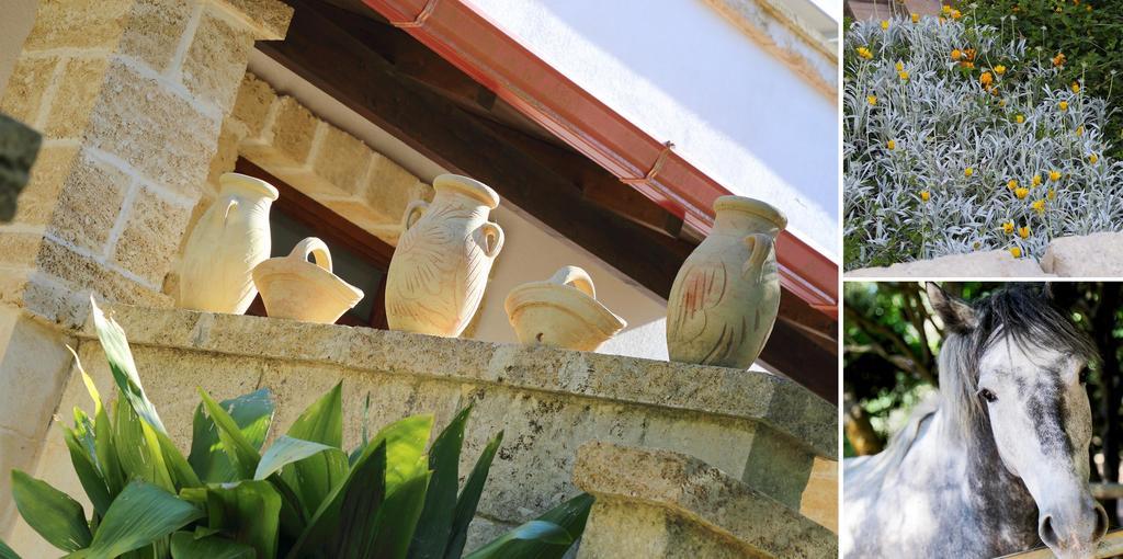 Masseria L'Uliveto Agri Resort أوترانتو المظهر الخارجي الصورة